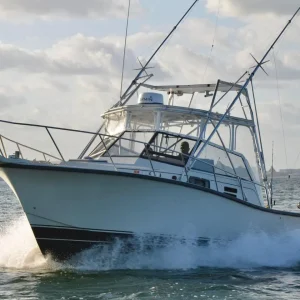 #3.- BERTRAM 35 Ft Hasta 6 personas / Precio por Barco