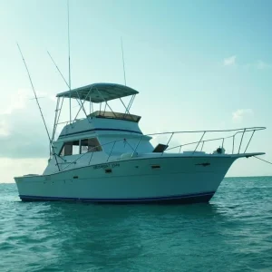 #11.-Viking 35 Pies Hasta 8 personas / Precio por barco