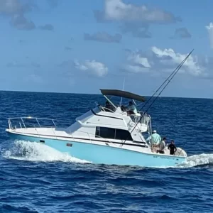 #7.-Bertram 40 Ft Hasta 12 personas / Precio por Barco